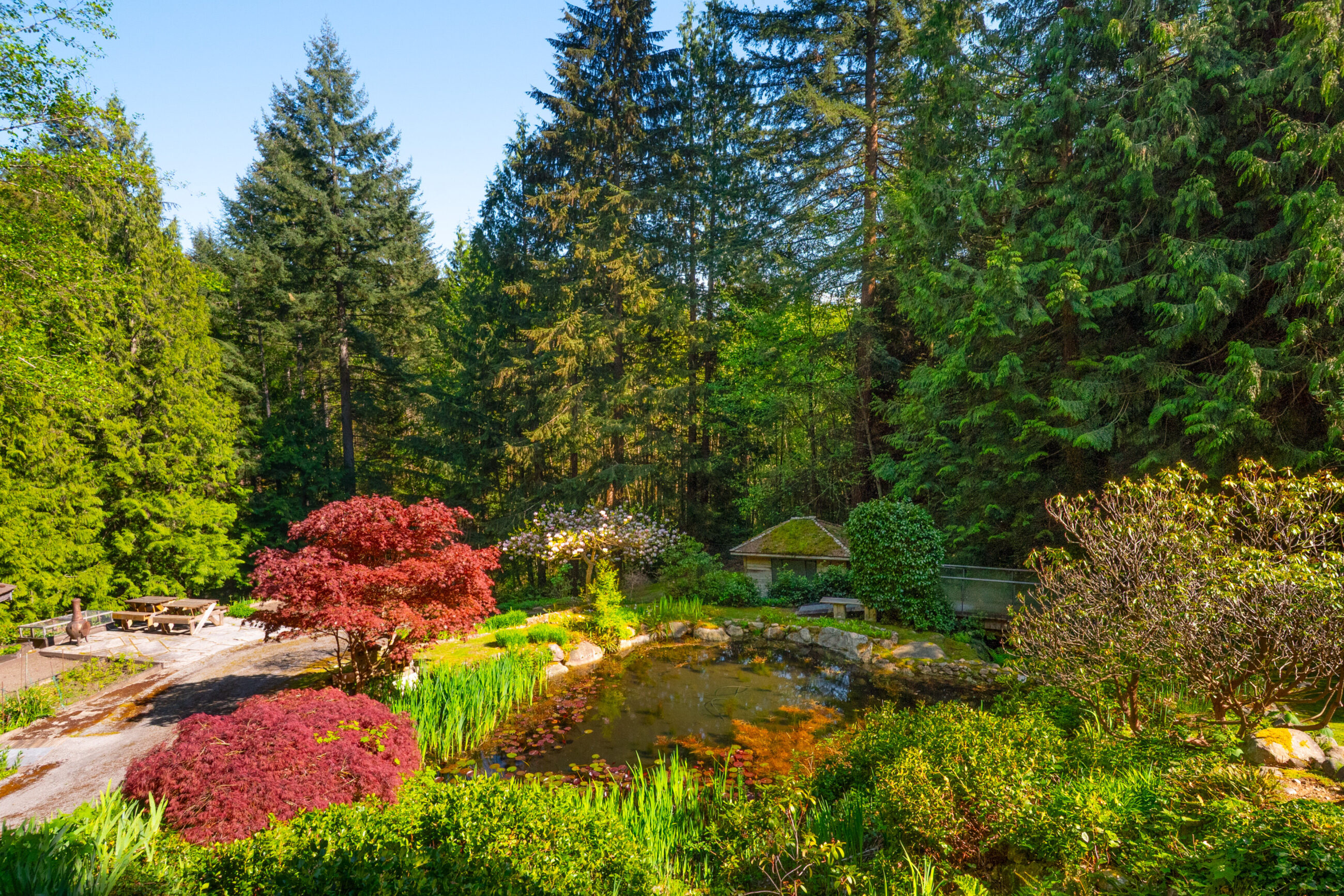 4228 Rockridge Crescent